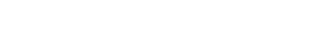 LOGO LIVESE