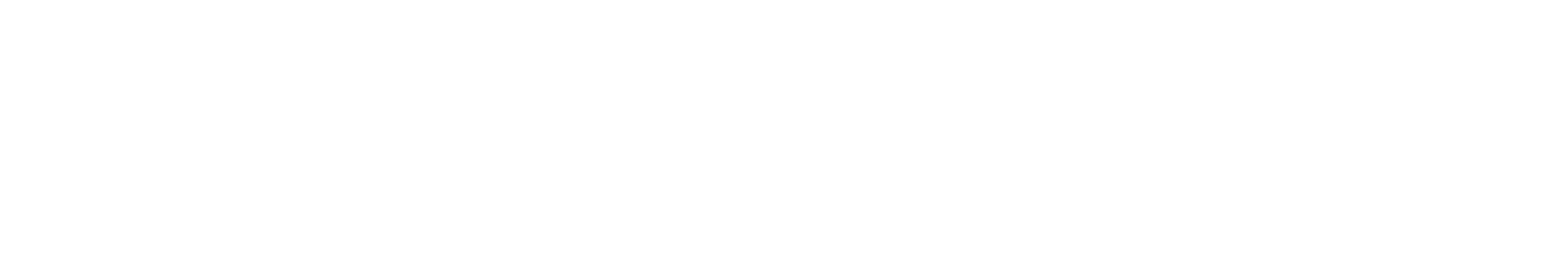 LOGO LIVESE